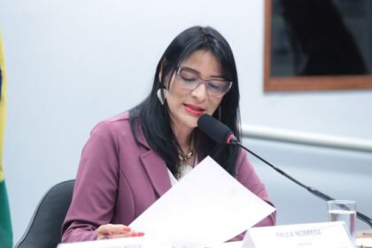 Audiência Pública - Falta de medicamentos para epilepsia no Brasil. Dep. Juliana Cardoso (PT-SP).