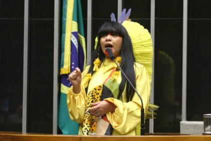 Discussão e votação de propostas legislativas. Dep. Célia Xakriabá (PSOL - MG)