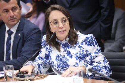 Reunião de Líderes. Dep. Renata Abreu (PODE-SP)