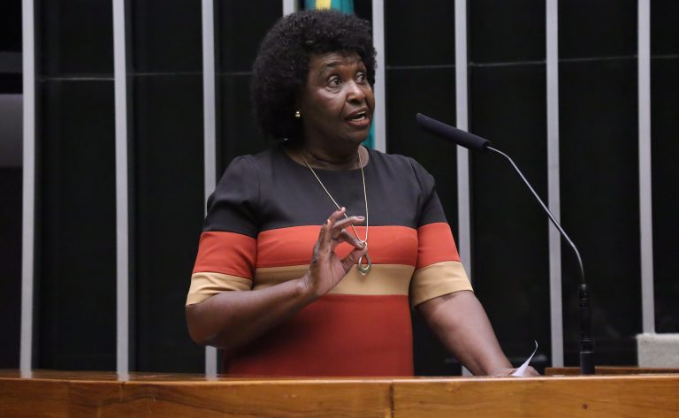 Discussão e votação de propostas legislativas. Dep. Benedita da Silva (PT - RJ)