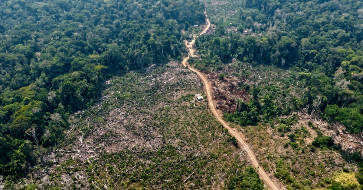 Manaquiri registra multa de R$ 1,14 milhão por uso irregular do fogo durante operação ambiental